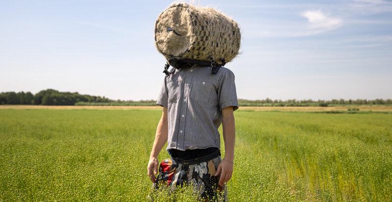 man in een weiland met stro baal als hoofd