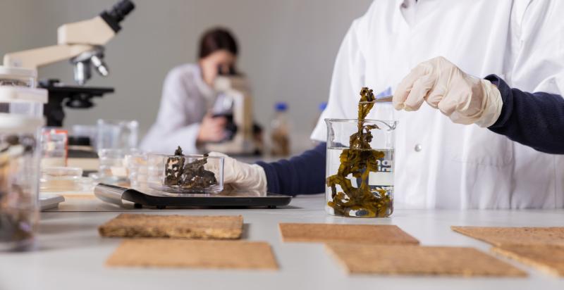 Twee mensen in witte jassen aan het werk in een laboratorium van BlueCity.