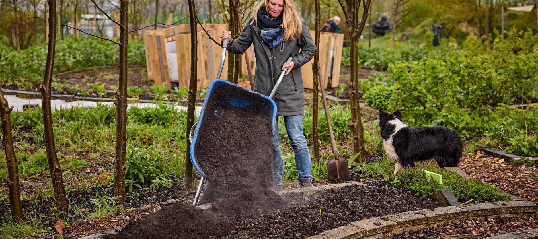 vrouw leegt een kruiwagen met aarde in een stadstuin. Bomen op de achtergrond. Hond staat rechts naast haar, kijkt naar achteren.