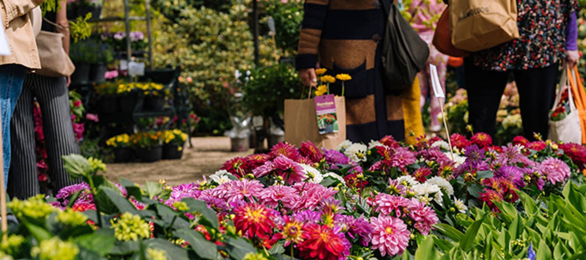 Veel gekleurde bloemen, op de achtergrond lopen mensen langs