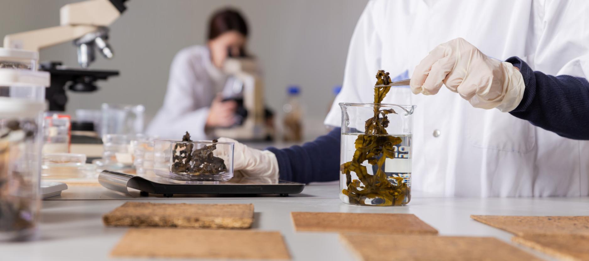 Twee mensen in witte jassen aan het werk in een laboratorium van BlueCity.