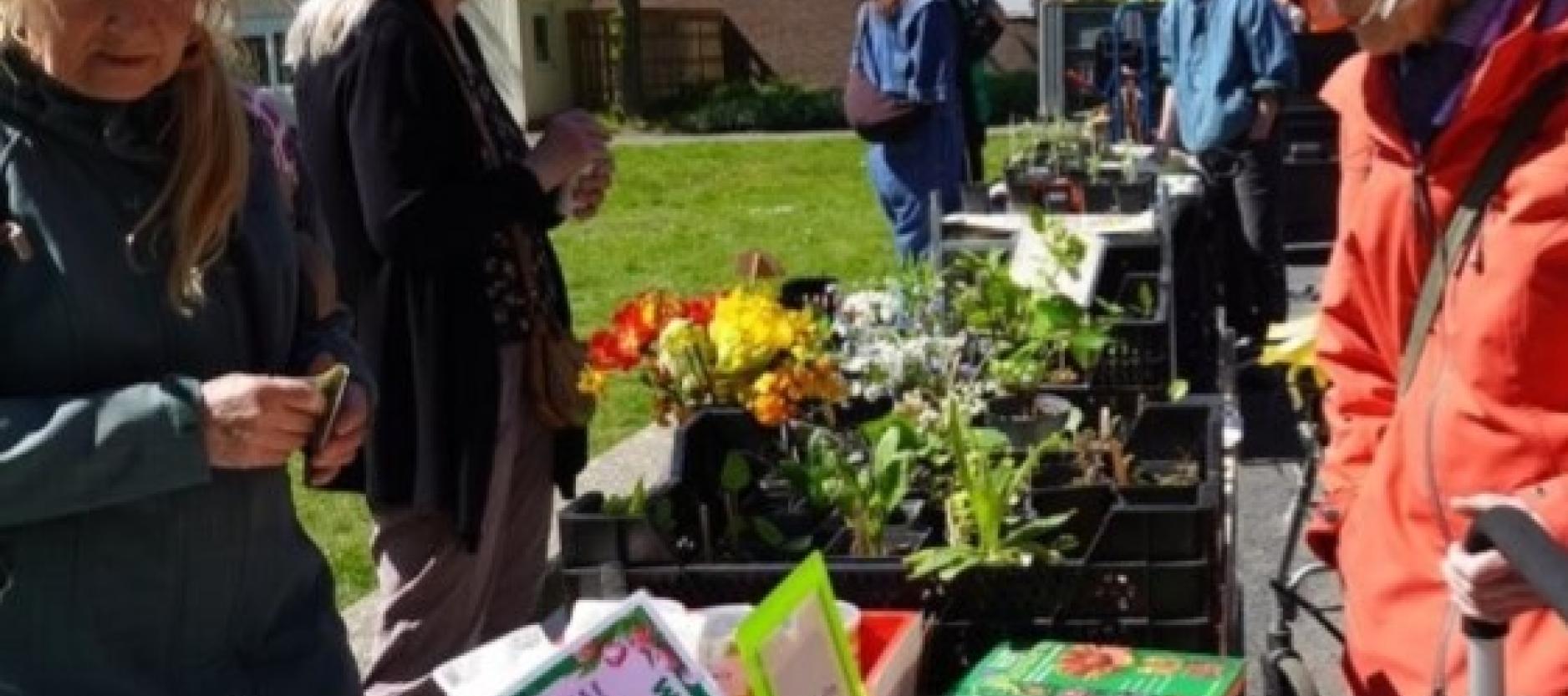 Plantjesmarkt