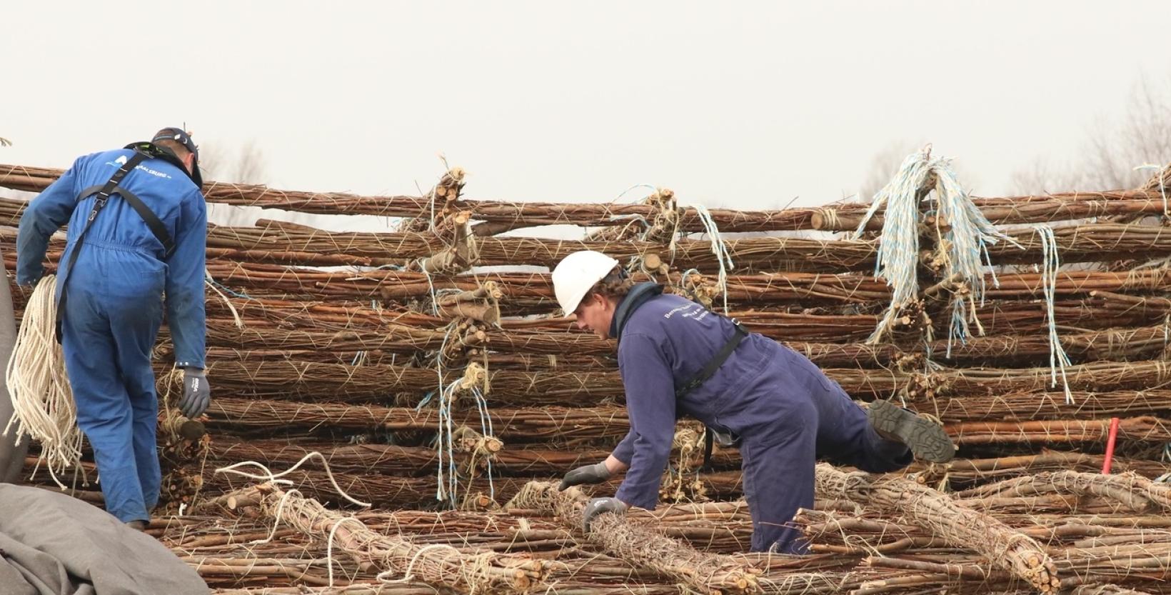 twee mannen in blauwe overals en helm aan het werk om takken met grote matten van takken.