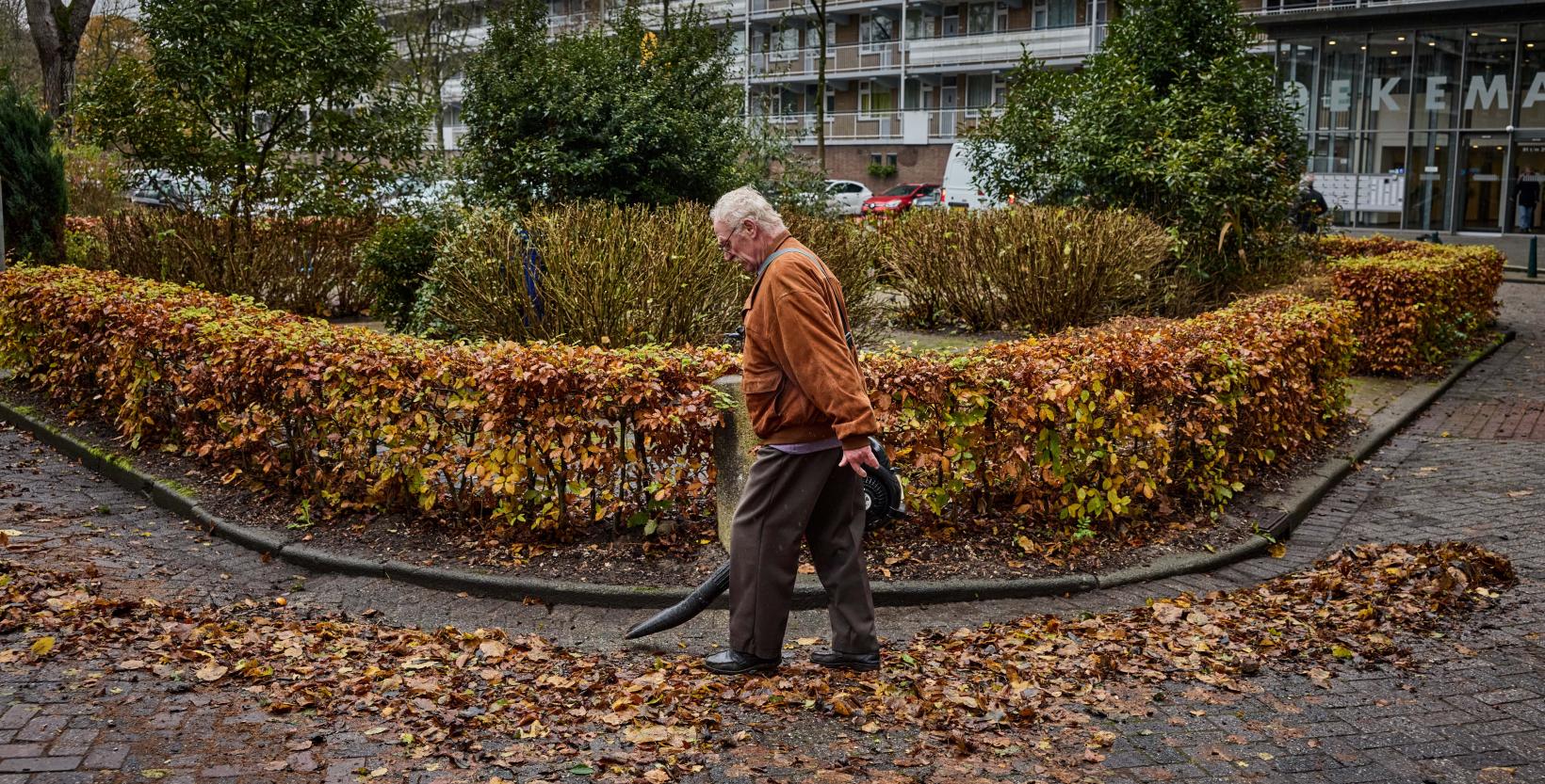 Blad verzamelen voor bokashi