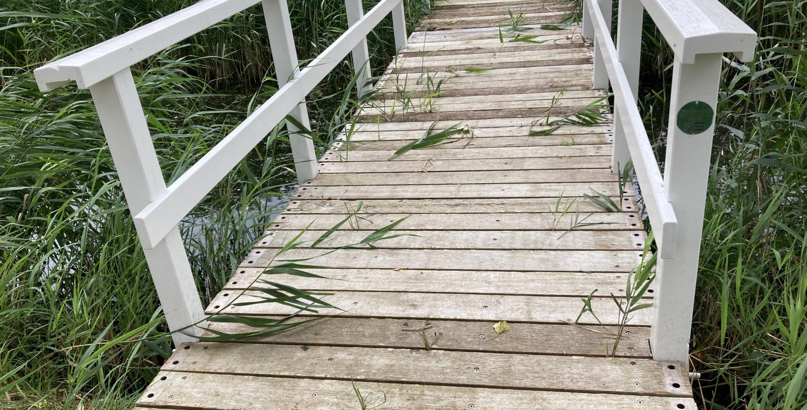 N035 brug